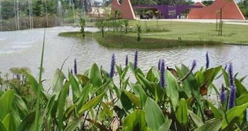 Terreno à venda, 1318 m² por R$ 430.000,00 - Alto da Ponte - São José dos Campos/SP