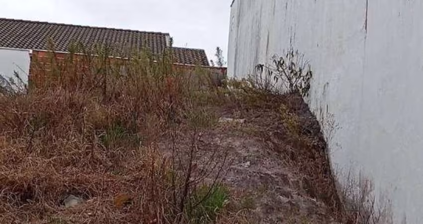 Terreno à venda, 146 m² por R$ 135.000,00 - Jardim Santa Júlia - São José dos Campos/SP