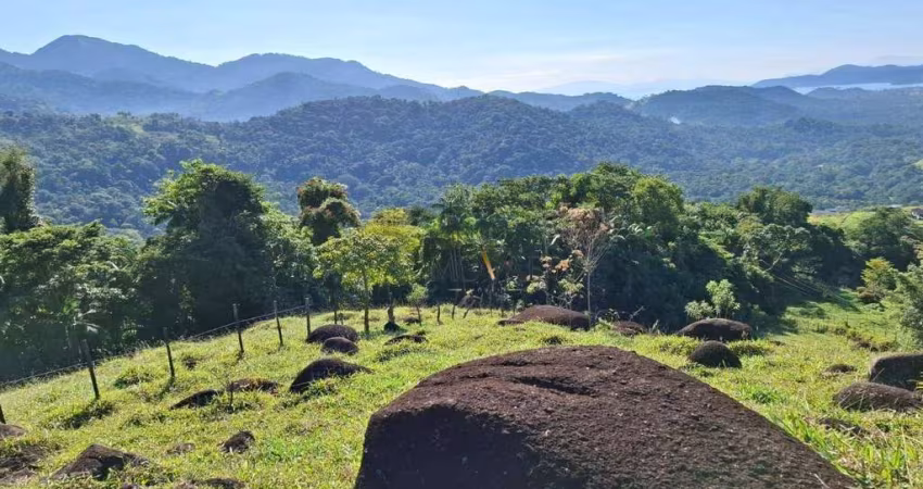Terreno à venda, 440 m² por R$ 9.900.000,00 - Estrada Paraty-cunha - Paraty/RJ