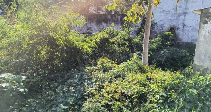 Terreno à venda na Rua Desembargador José de Castro Pache de Faria, Mata Paca, Niterói