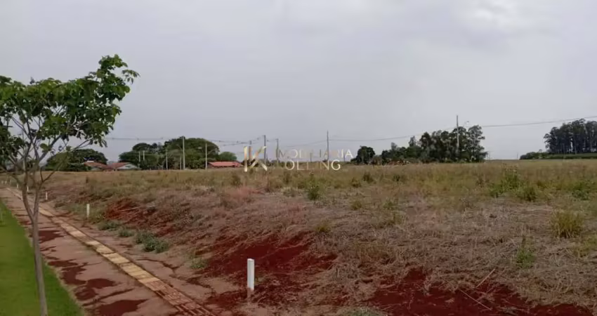 Terreno à venda distrito de novo sobradinho, toledo - pr
