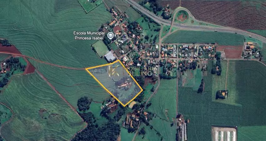 Área rural, área total de 60.000m ,  dois irmãos, toledo - pr