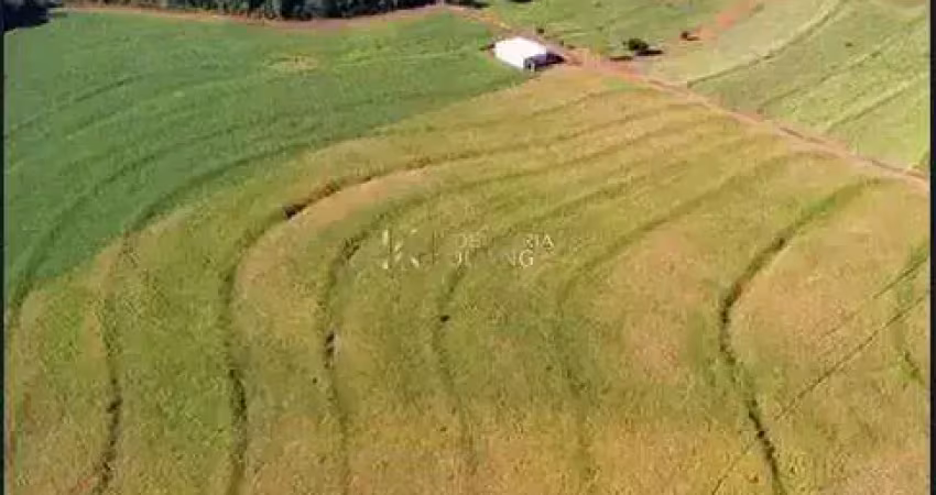 Fazenda à venda na Zona Rural, São Pedro do Iguaçu 