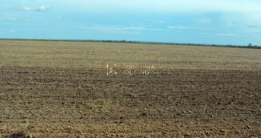 Fazenda à venda na região de balsas, com  250 hectares loreto - ma
