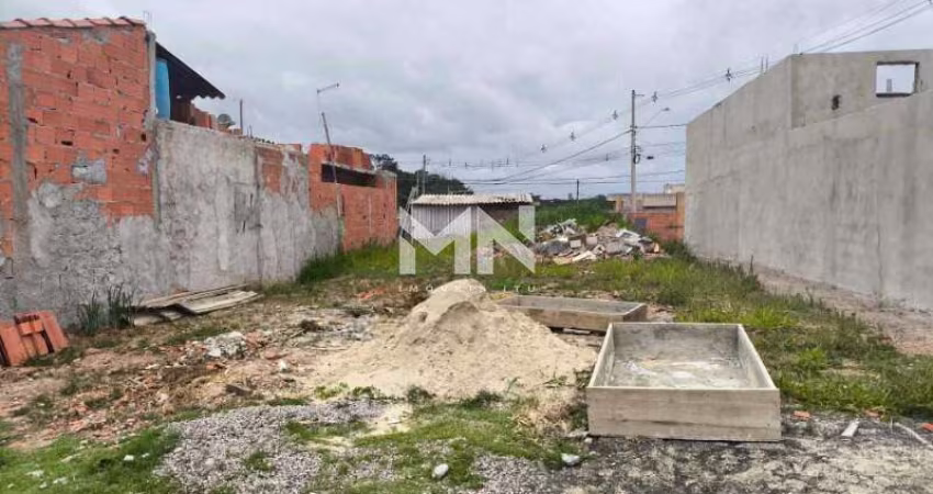 Terreno venda Madre Paulina 200,00m²