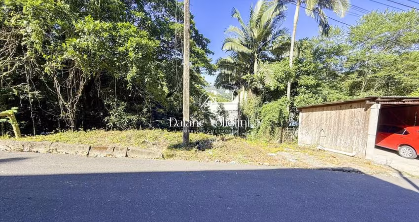 Terreno para Venda em Blumenau, Ponta Aguda