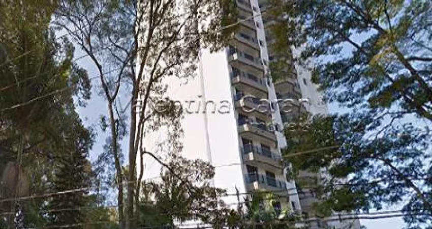 Apartamento com 4 quartos para alugar em Santo Amaro, São Paulo 