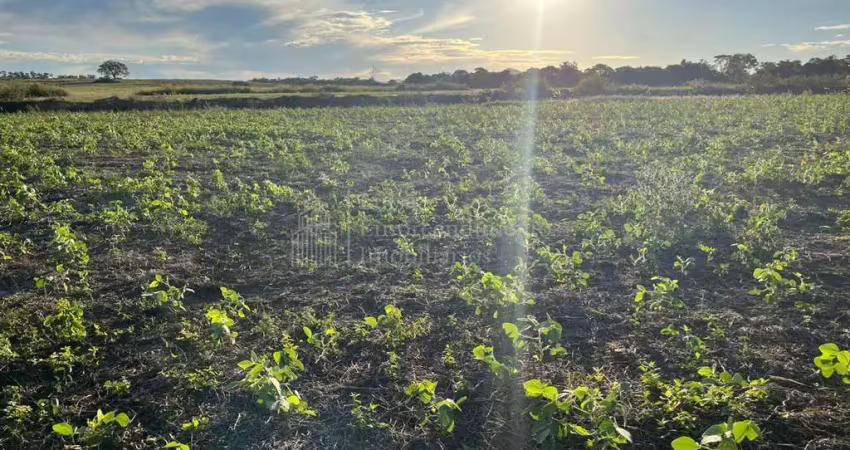 Fazenda à venda na Zona Rural, Bodoquena 
