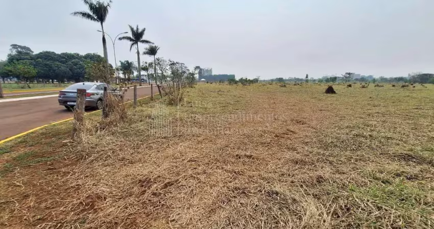 Área na entrada da cidade,  à venda, centro, sidrolandia - ms