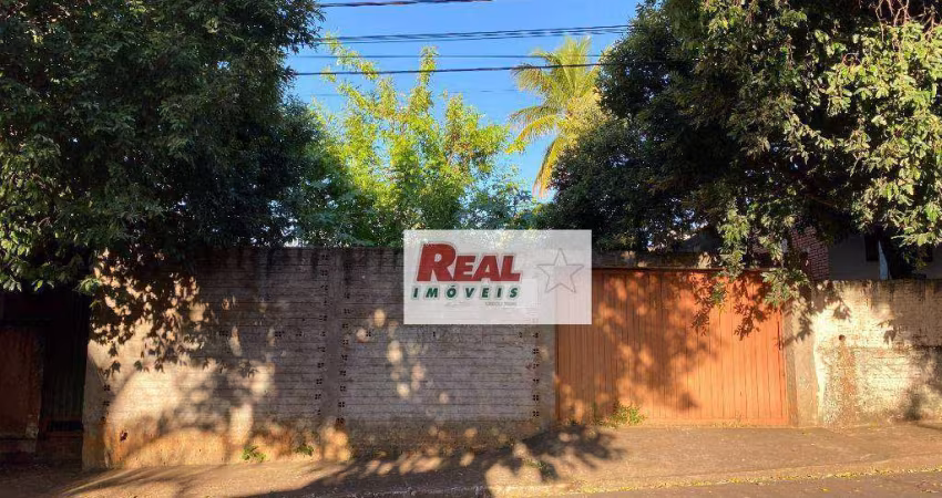 Terreno - próximo Casa Diniz - R. Goulart