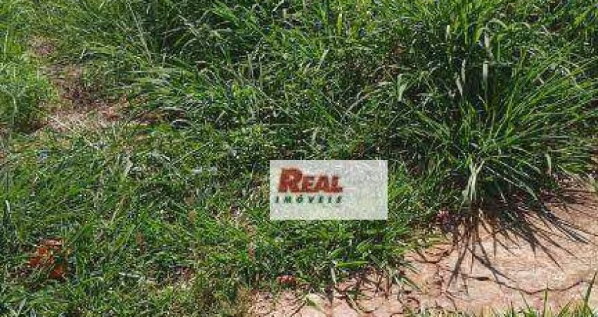 Terreno à venda, 250 m² por R$ 140.000,00 - Presidente - Araçatuba/SP