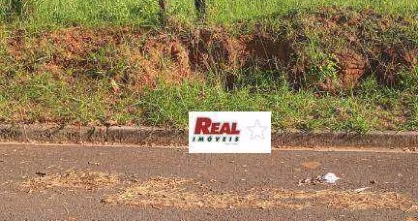 Terreno à venda, 702 m² por R$ 130.000 - Pinheiros - Araçatuba/SP