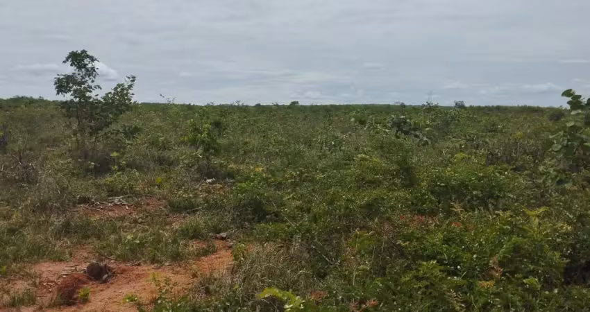 A&m imoveis vende exelente fazenda com 329hhectares em joao pinheiro