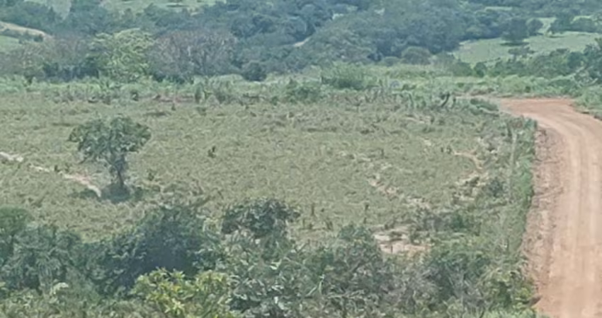 A&M IMOVEIS VENDE EXELENTE FAZENDA COM 52,59HECTARES