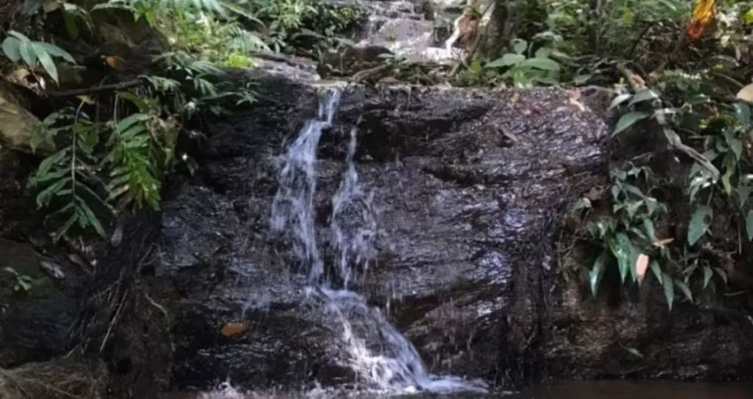 A&m imoveis vende exelente fazenda com 162.5 hectares em buritis mg