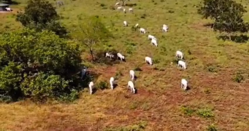 * a&m imoveis vende exelente fazenda em formosa com 295hectares