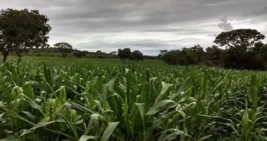 Fazenda à venda na Rua Floriano Lima, Zona Rural, Arinos