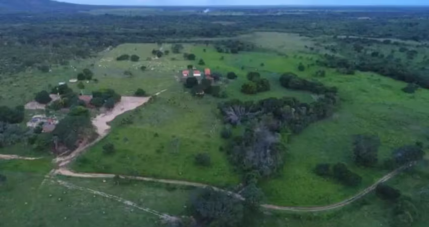 A&m imoveis vende fazenda gabriela, melhor da região de arinos-mg