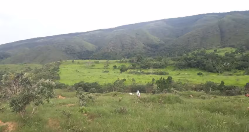 A&m imoveis vende otima esta fazenda com 68hectares em sao joao da aliança