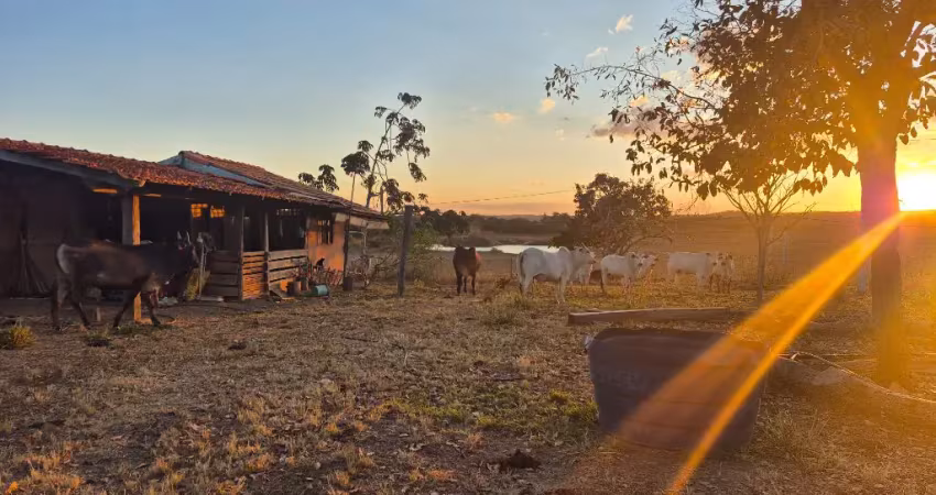 A&m imoveis vende fazenda com 91.8hectares em cabeceiras go