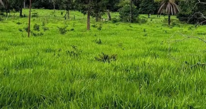 A&m imoveis vende fazenda com 43 hectares  em unaí mg