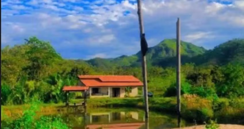 A&m imoveis vende exelente fazenda com 65 hectares muita agua em minaçu