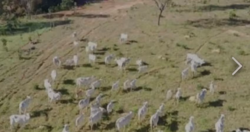 A&m imoveis vende fazenda com 12.8 hectares em agua fria go
