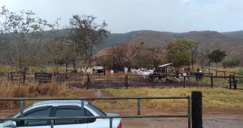 A&m imoveis vende uma belissima fazenda  a 42km de alvorada do norte goias