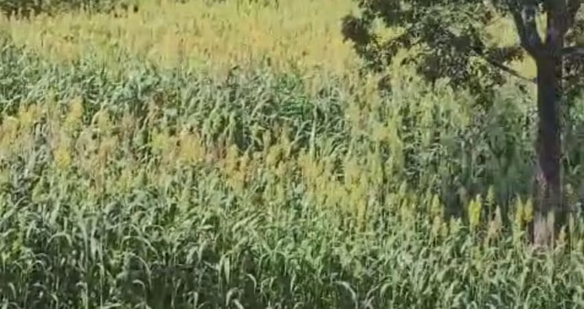 A&m imoveis vende fazenda em santa maria goias com 36hectares