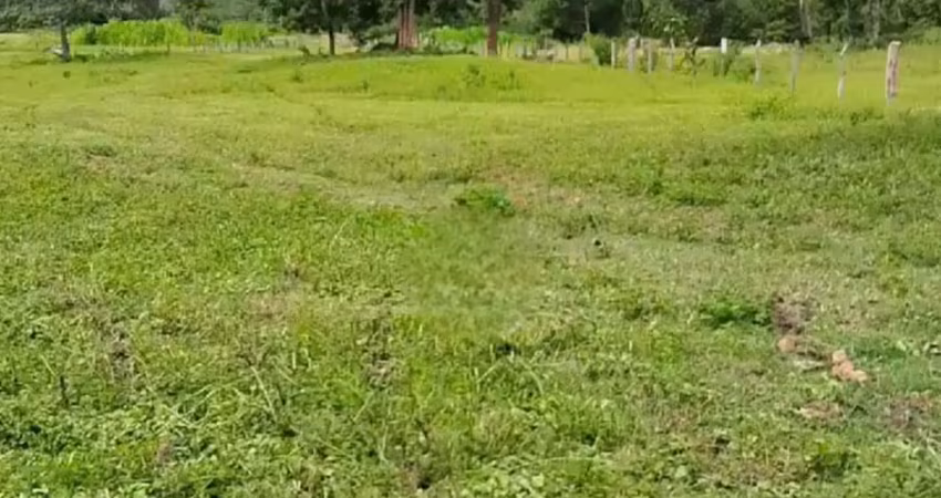 A&m imoveis vende exelente fazenda com 62 hectares entre paracatu e unai mg