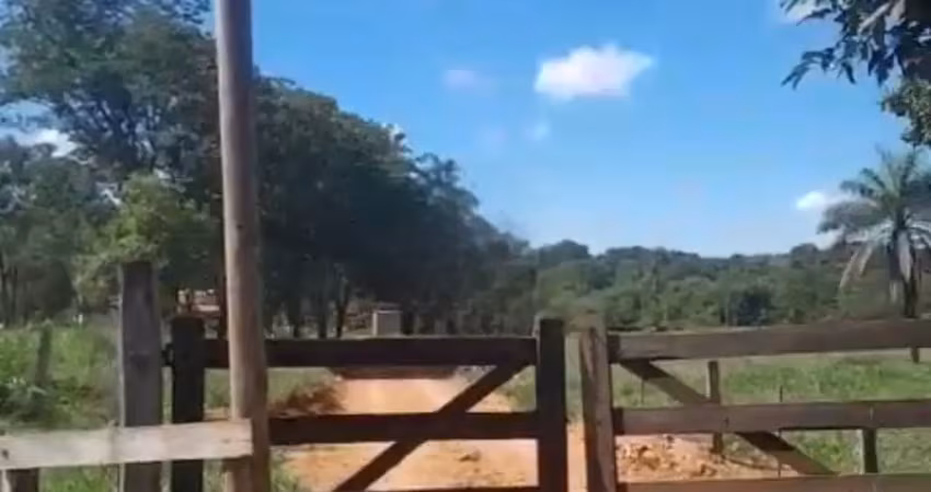 A&m imoveis vende fazenda com 37.5hectares em paracatu mg