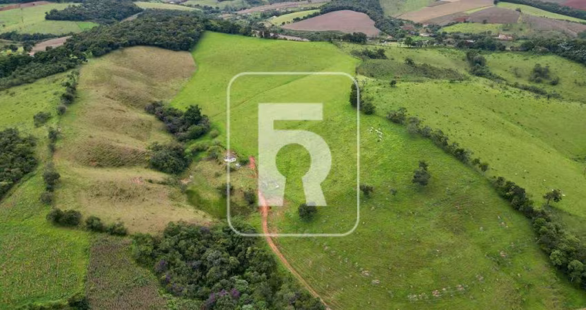 Sítio à venda, Área Rural de Conselheiro Lafaiete - Conselheiro Lafaiete/MG
