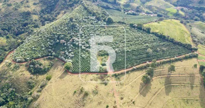 Fazenda à venda, 3 quartos, área rural de conselheiro lafaiete - conselheiro lafaiete/mg
