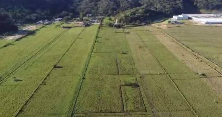 Terreno à venda, 66000 m² por R$ 6.500.000,00 - São Roque - Itajaí/SC