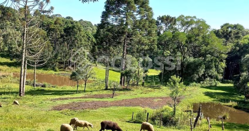 Fazenda à venda no Palmeirinha, Guarapuava 