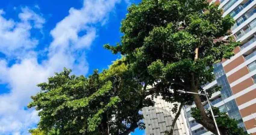 Apartamento - alto padrão, para aluguel em salvador/ba