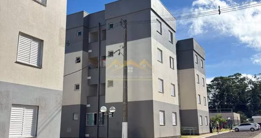 AP DE BARBADA EM GRAVATAI