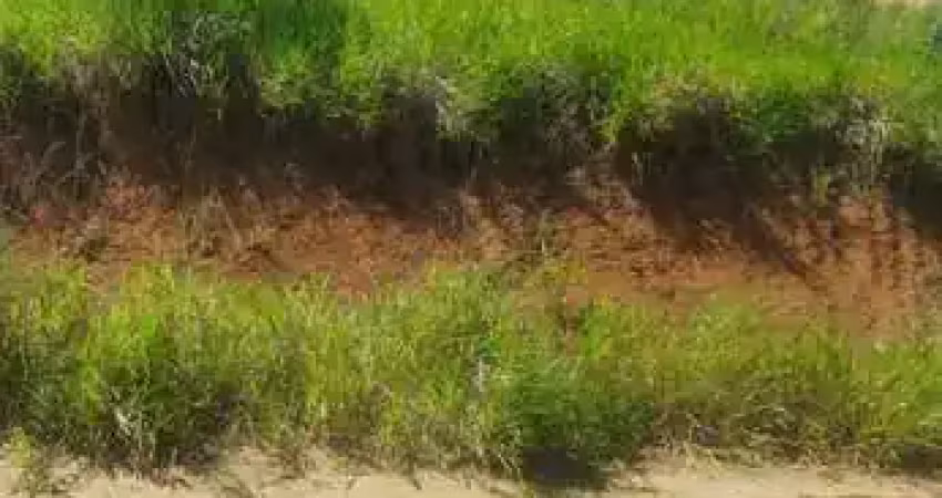 Terreno à venda, 450 m² por r$ 95.000,00 - mar do norte - rio das ostras/rj