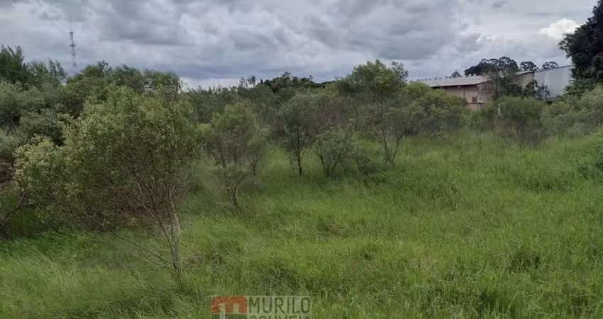 Terreno com 15.000 m², à venda por r$ 11.200.000 - eucaliptos, fazenda rio grande (pr)
