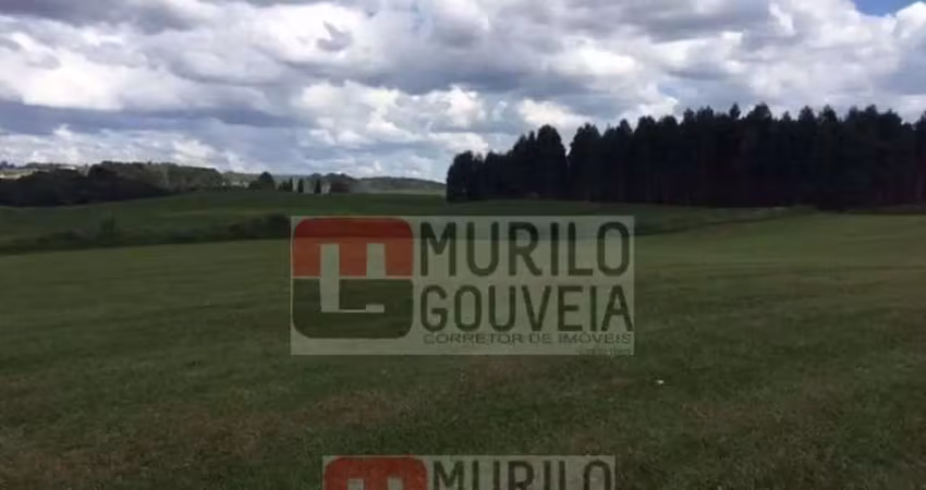 Área com 58.000 m², à venda por r$ 14.000.000 - eucaliptos, fazenda rio grande (pr)