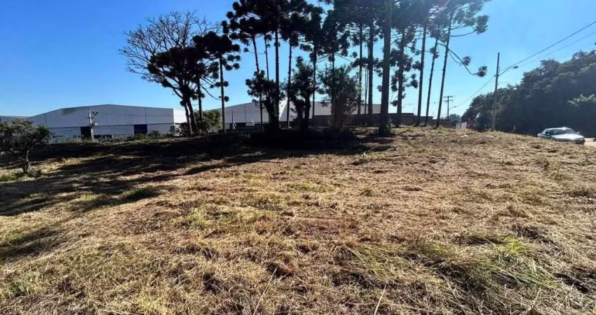 Área com 51.000 m², à venda por r$ 15.000.000 - aruja, são josé dos pinhais (pr) - zis-1