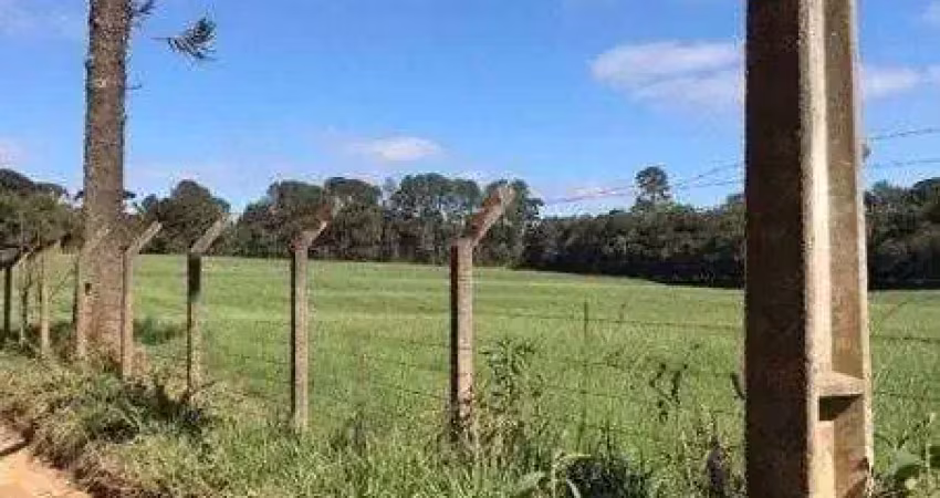 Área com 53.240 m², à venda por r$ 5.473.600 - vila susi, piraquara (pr)