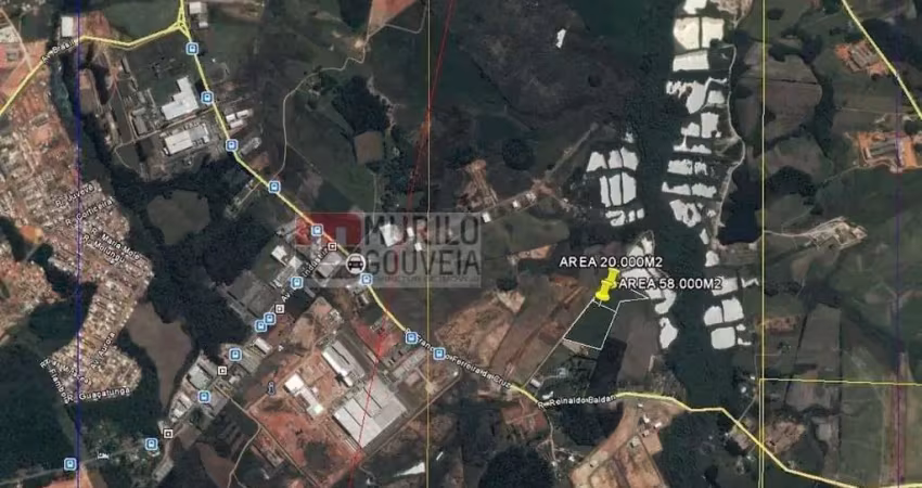 Área com 20.000 m², à venda por r$ 5.000.000 - eucaliptos, fazenda rio grande (pr)