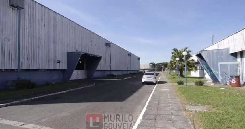 Área com 1000 m², aluguel de r$ 4.000 + taxas - afonso pena, são josé dos pinhais (pr)