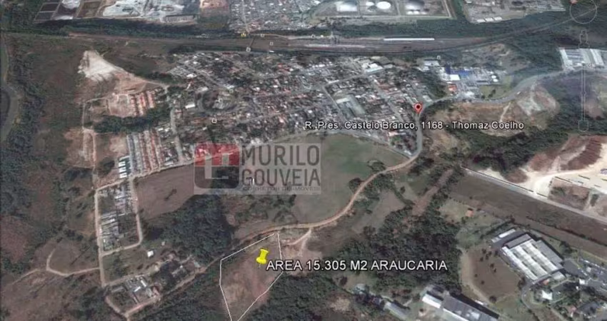 Área com 15.305 m², à venda por r$ 5.356.750 - thomaz coelho, araucária (pr) - zi