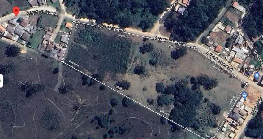 Área com 42.733 m², à venda por r$ 7.700.000 - tranqueira, almirante tamandaré (pr)