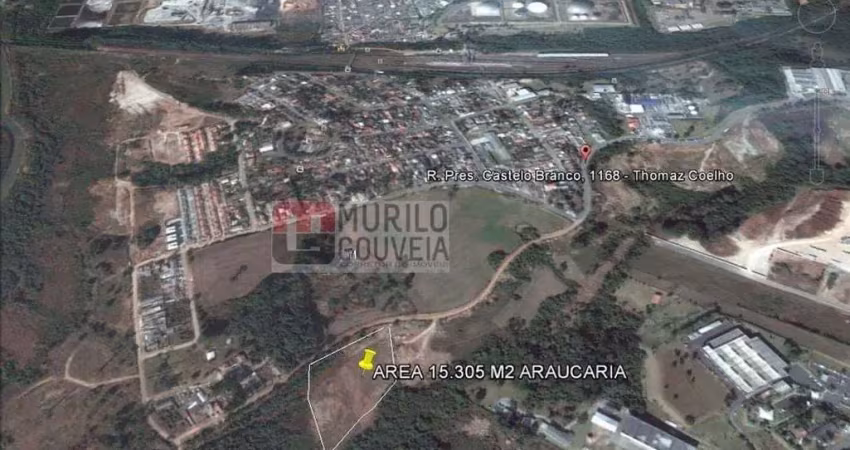 Terreno com 15.305 m², à venda por r$ 5.356.750 - thomaz coelho, araucária (pr) - zi