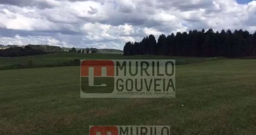 Área com 58.000 m², à venda por r$ 14.000.000 - eucaliptos, fazenda rio grande (pr)