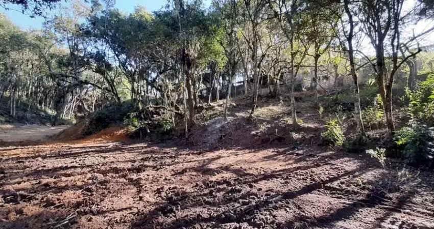 Terreno com 6.119,88 m², à venda por r$ 750.000 - barro preto, são josé dos pinhais (pr) - zis-1