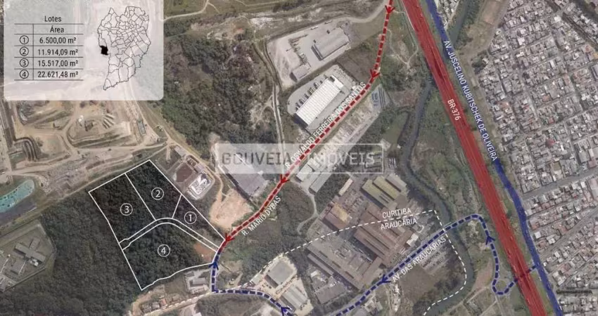 Área com 22.621 m², à venda por r$ 9.100.000 - cidade industrial, curitiba (pr) - zi